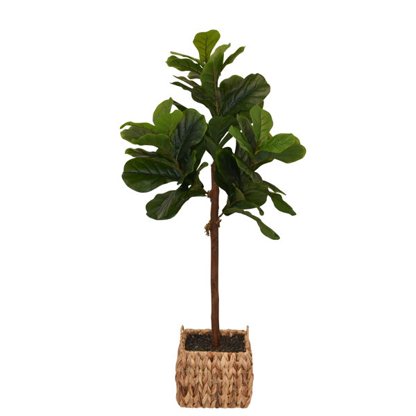 Primrue 48'' Faux Fiddle Leaf Fig Tree in Rattan Basket & Reviews Wayfair